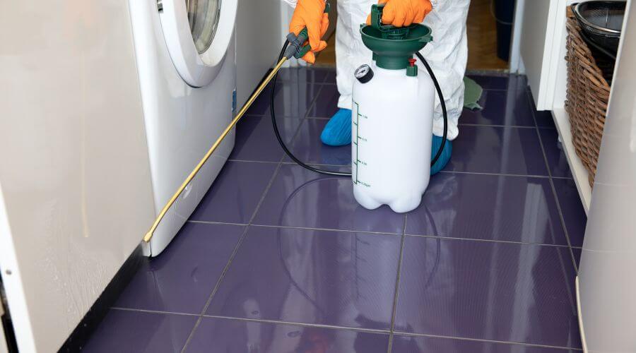 Why choose Delmar Residential Pest Control for residential pest control in Delmar